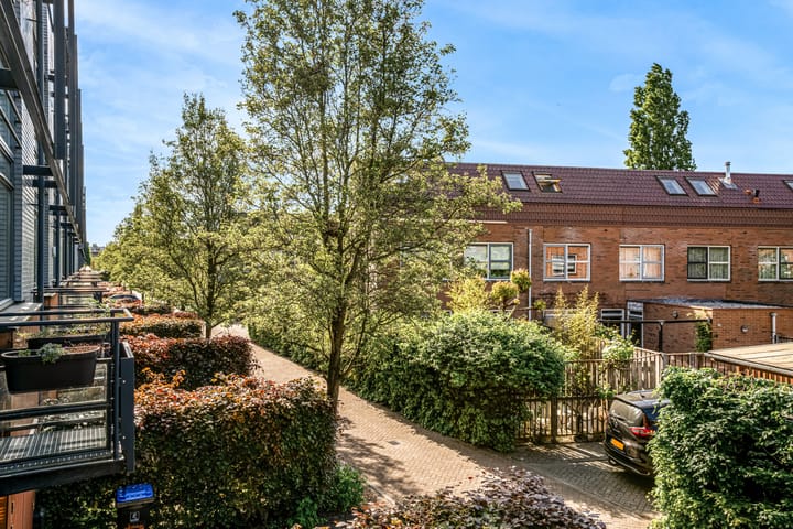 Foto 4 van Weerschijnvlinder 75