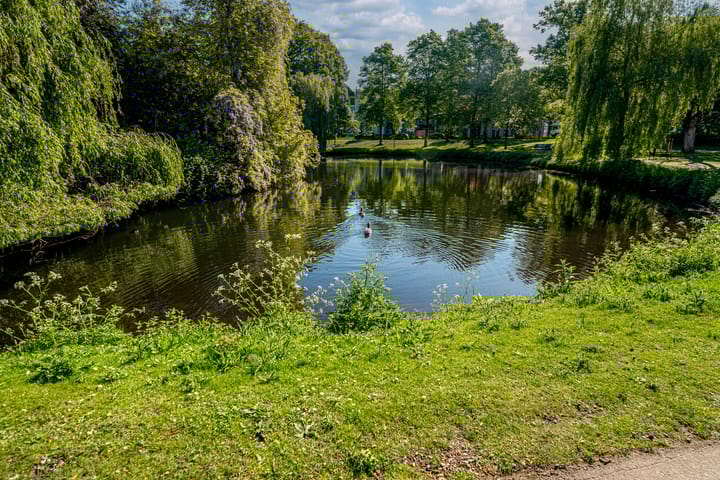 Photo 28 of Eusebiusbinnensingel 3-3