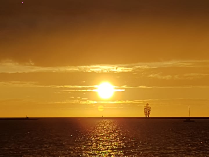 Foto 46 van Saerdam 101