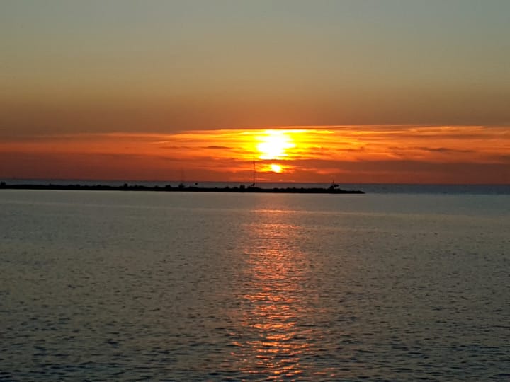 Foto 48 van Saerdam 101