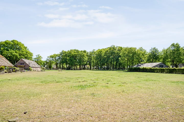 Photo 58 of Aelderstraat 49