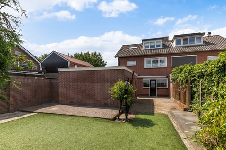 undefined main image