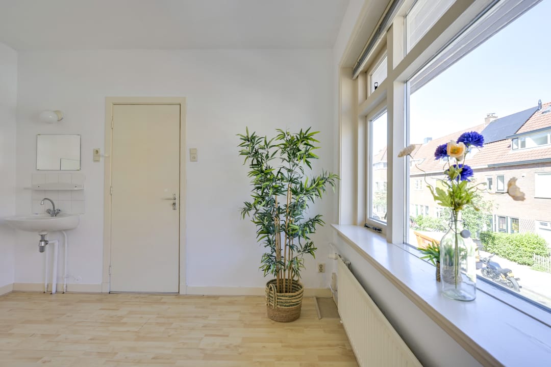 Foto 11 van Linnaeusstraat 27-BS