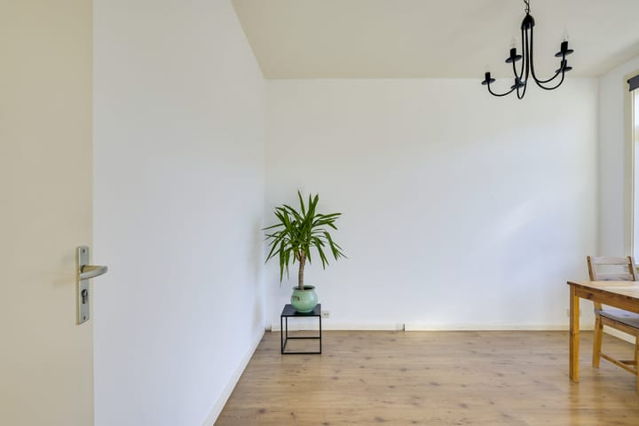 Foto 21 van Linnaeusstraat 27-BS