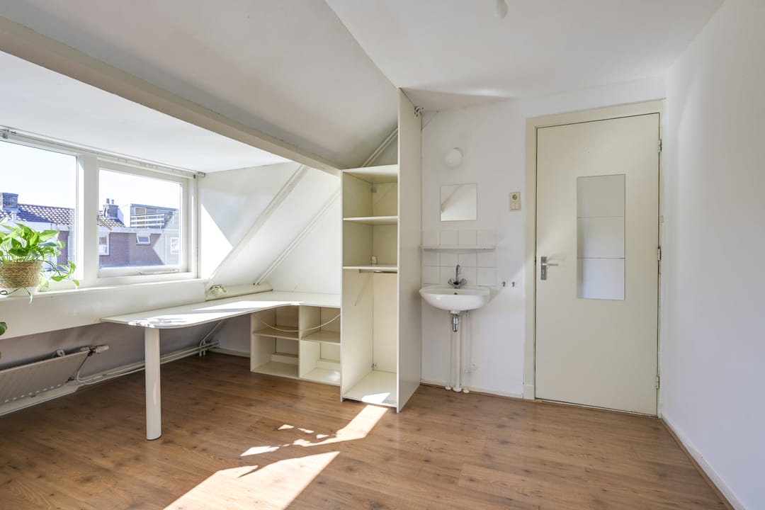 Foto 28 van Linnaeusstraat 27-BS