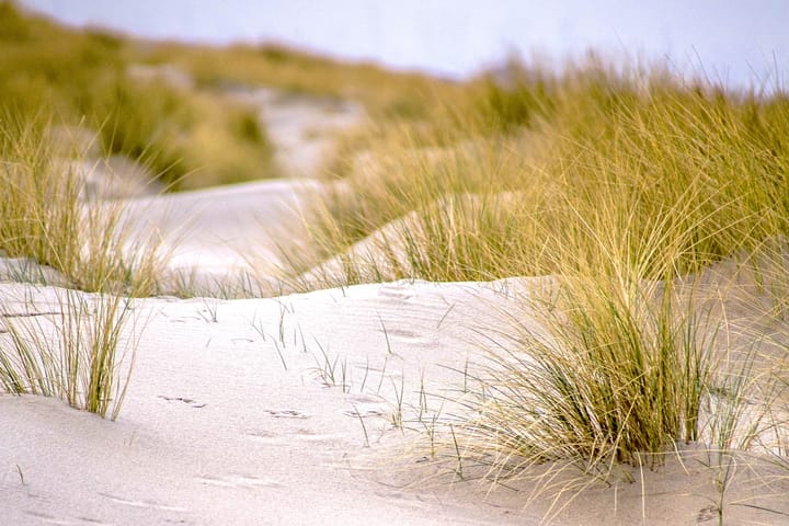 Foto 22 van Seinpoststraat 113-A