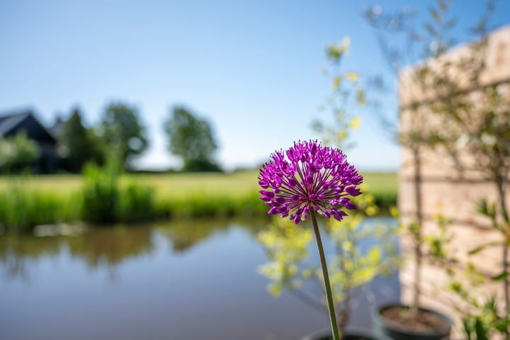 Foto 8 van Dorpsstraat 18