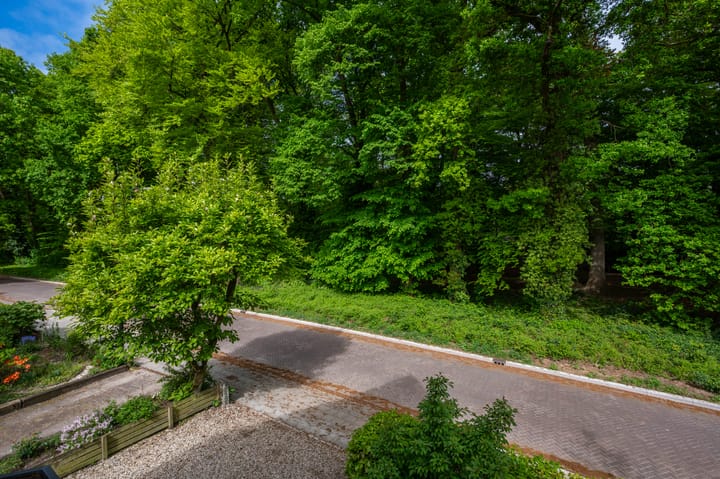 Foto 21 van Alexanderlaan 12