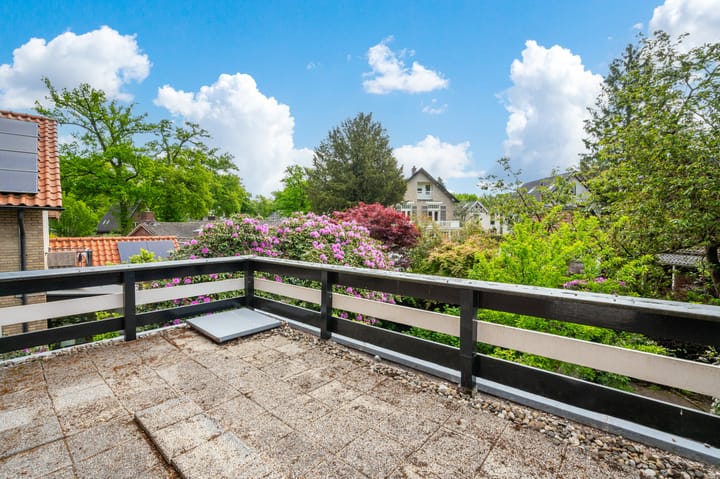 Foto 24 van Alexanderlaan 12