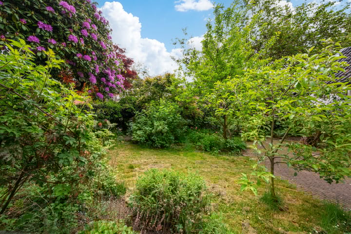 Foto 26 van Alexanderlaan 12