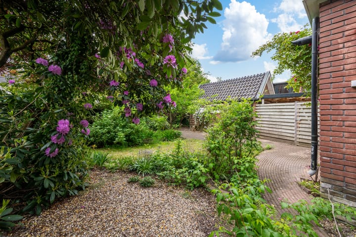 Foto 27 van Alexanderlaan 12