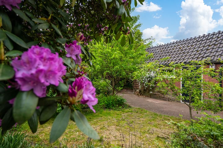 Foto 31 van Alexanderlaan 12