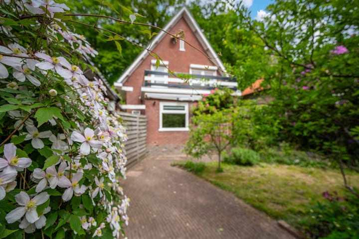 Foto 32 van Alexanderlaan 12