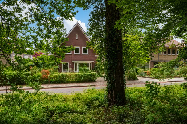 Foto 39 van Alexanderlaan 12