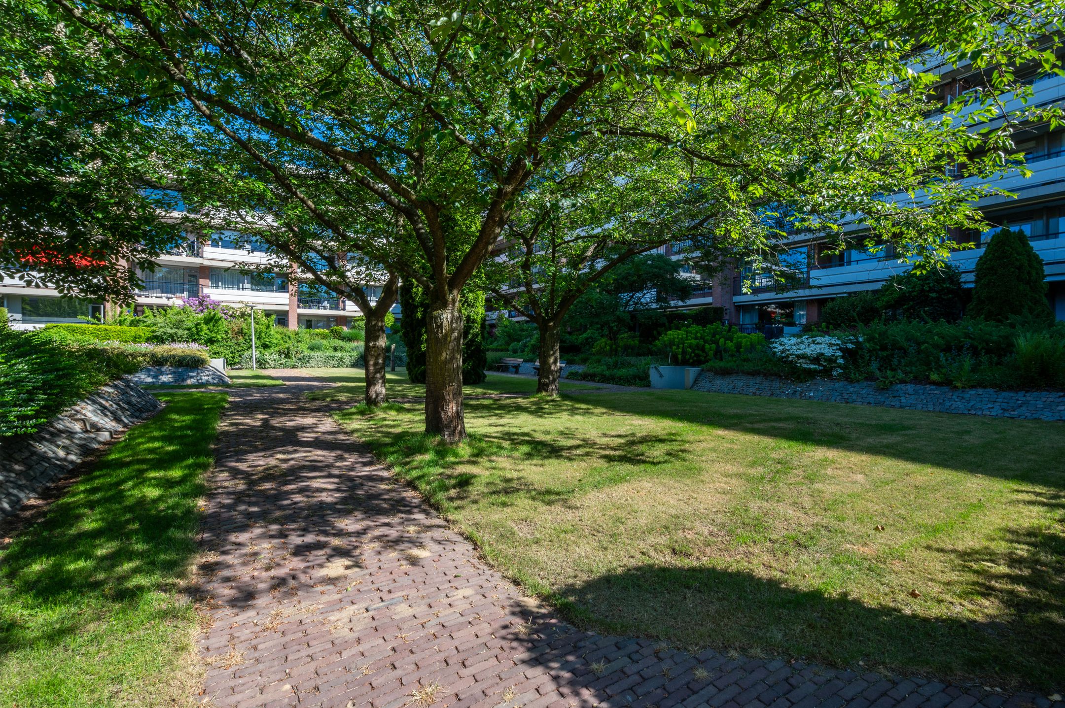 Foto 27 van Loseweg 137