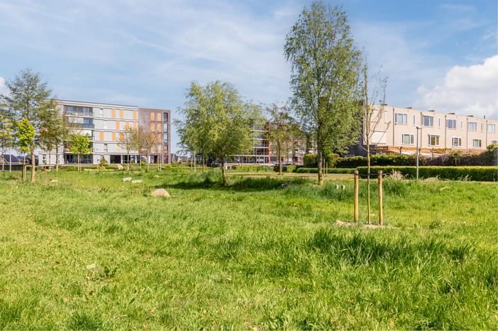 Foto 41 van Heraut 4