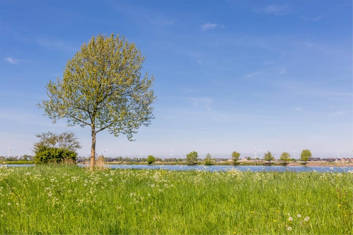 Foto 42 van Heraut 4