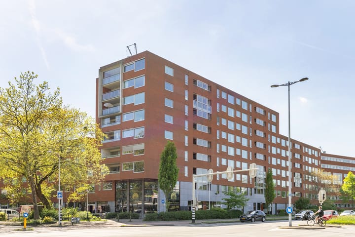 Van Esveldstraat 253