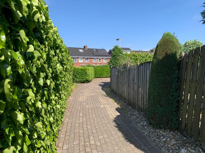 Foto 31 van Rijssensestraat 171