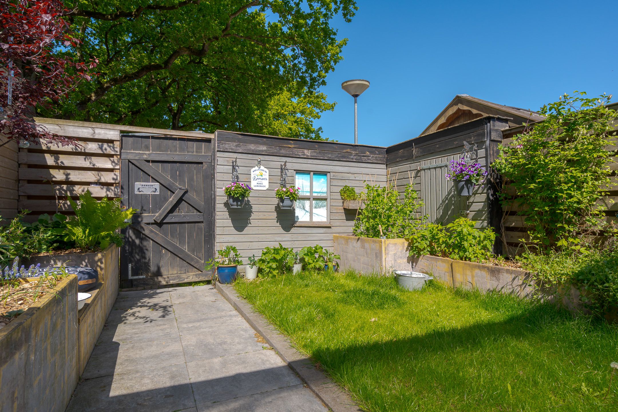 Foto 42 van Dorth 29