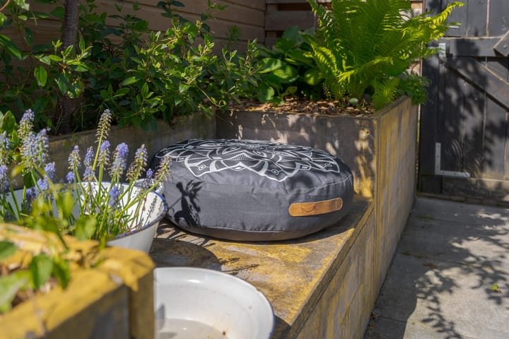 Foto 43 van Dorth 29