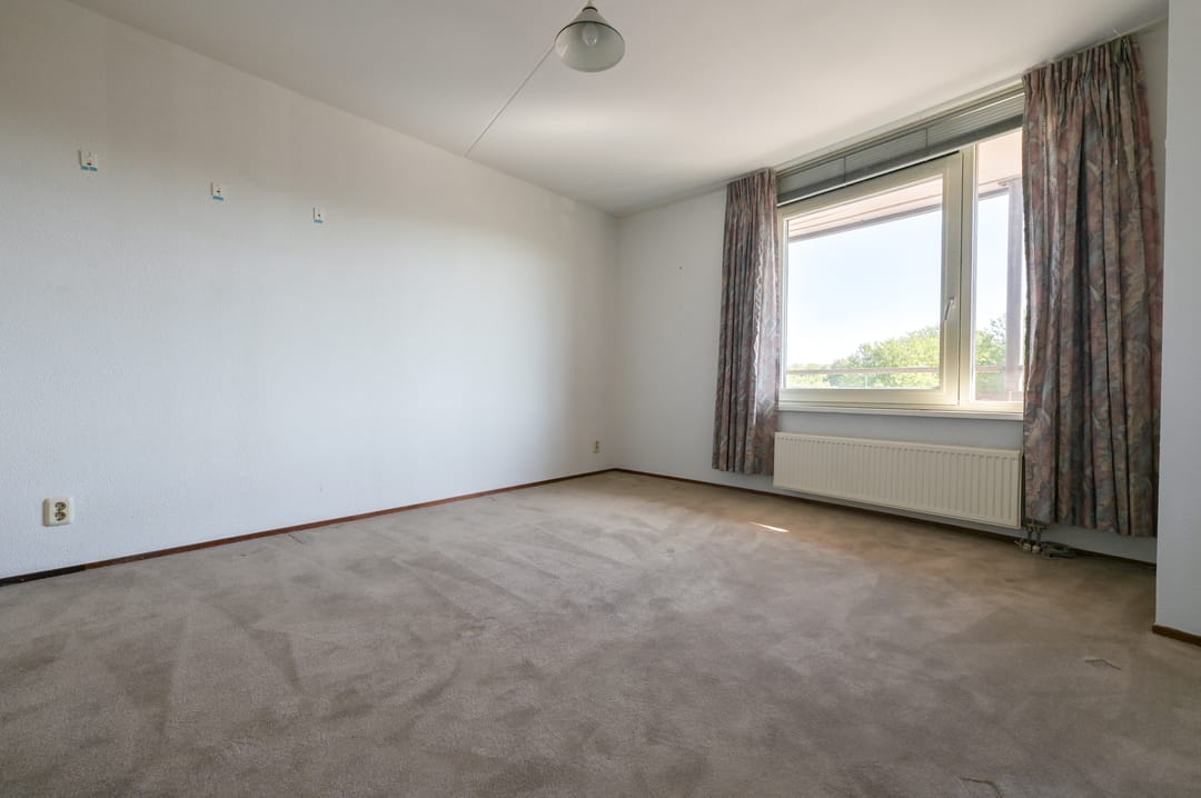 Photo 11 of Plein 2000 73