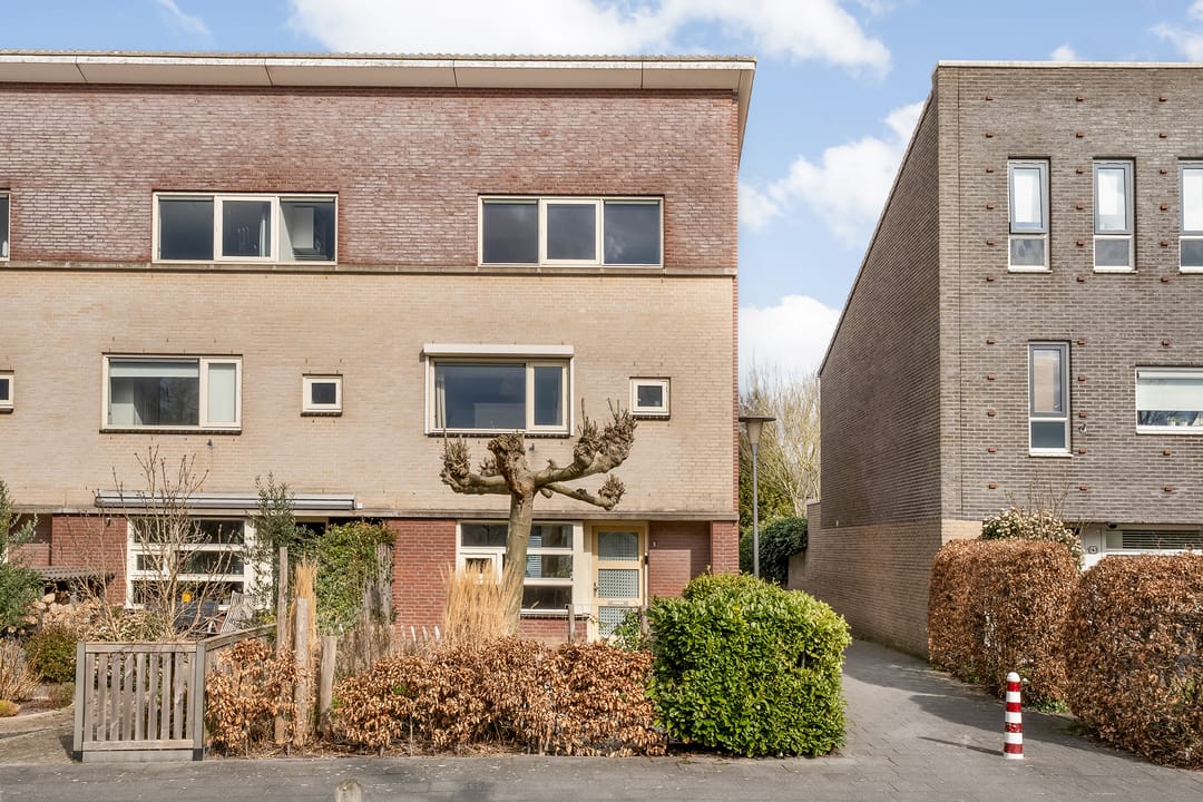 Foto 2 van Zwanenbloem 8