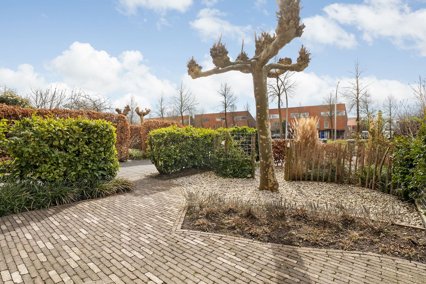 Foto 35 van Zwanenbloem 8