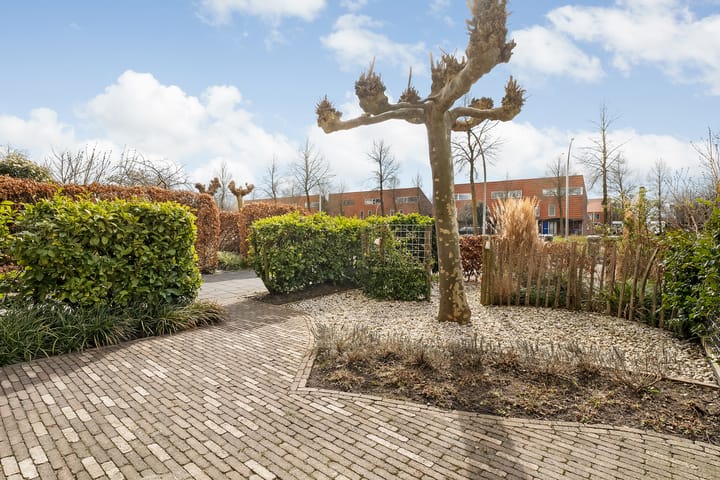 Foto 35 van Zwanenbloem 8