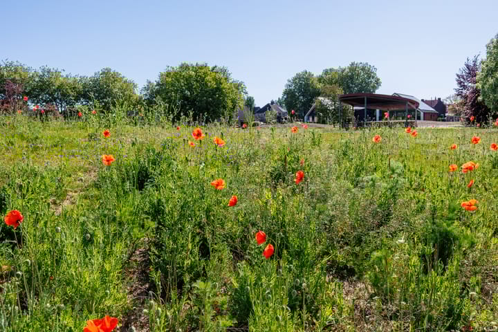 Foto 65 van Notarisstraat 7