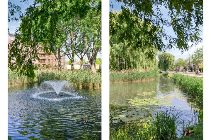 Foto 38 van 't Weerom 3