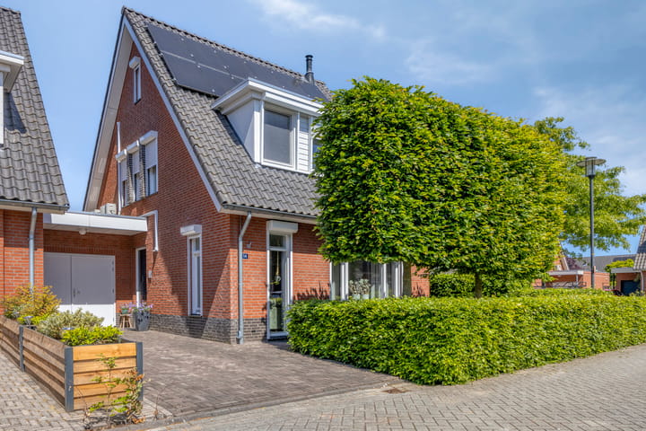 Witte Paters 14