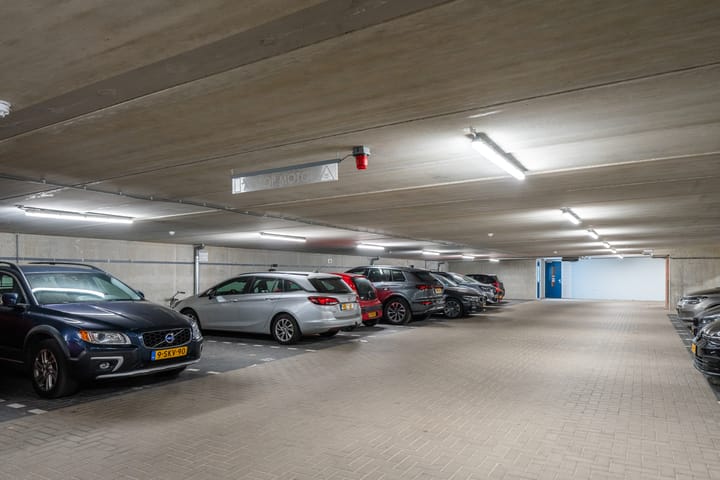 Photo 34 of Sumatraplantsoen 62