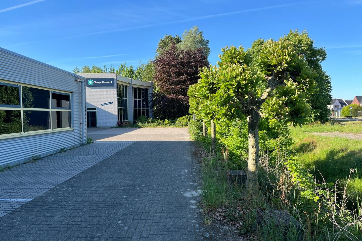Bekijk foto 3 van Handelstraat 17