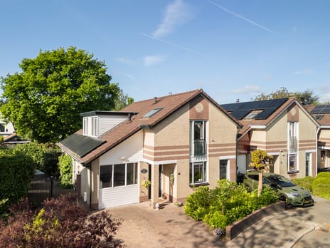 undefined main image