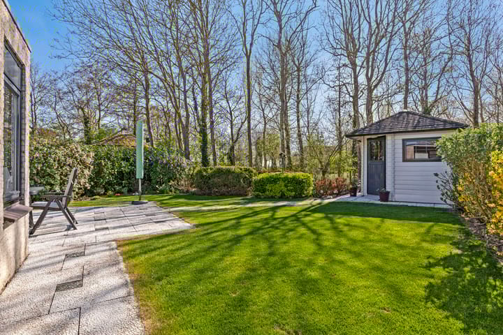 Foto 2 van Klepperstee-Esdoorn 3