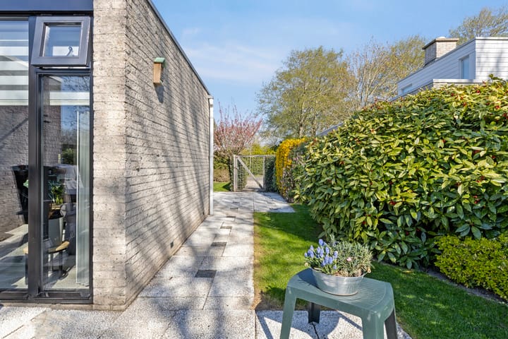 Foto 28 van Klepperstee-Esdoorn 3