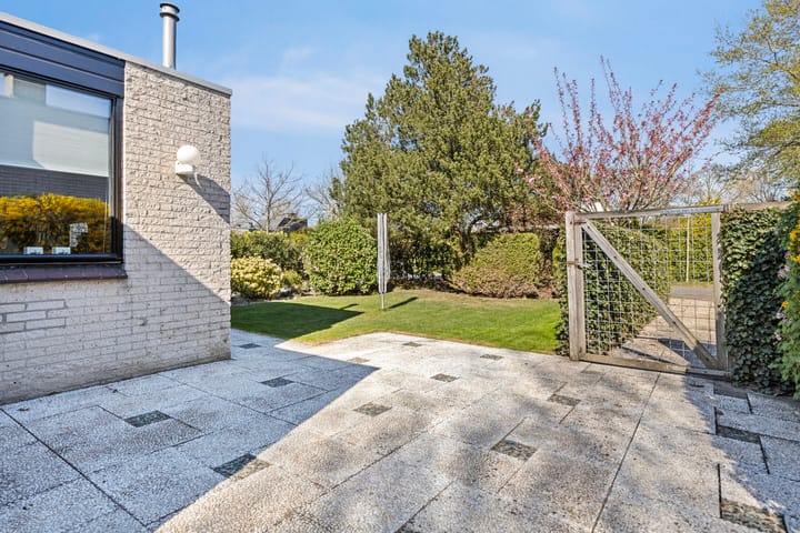 Foto 30 van Klepperstee-Esdoorn 3