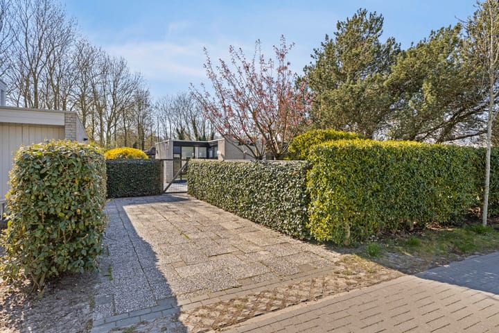 Foto 32 van Klepperstee-Esdoorn 3