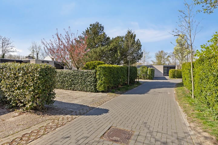 Foto 33 van Klepperstee-Esdoorn 3