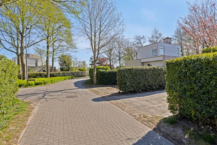 Foto 34 van Klepperstee-Esdoorn 3