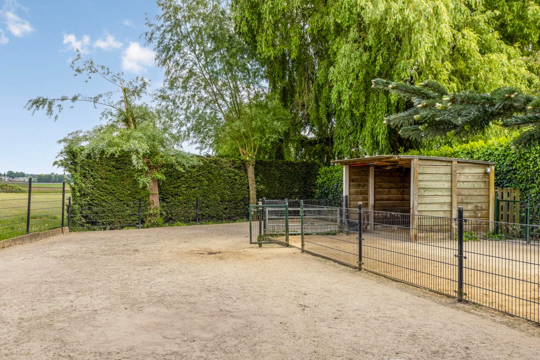 Foto 41 van Aanwas 47