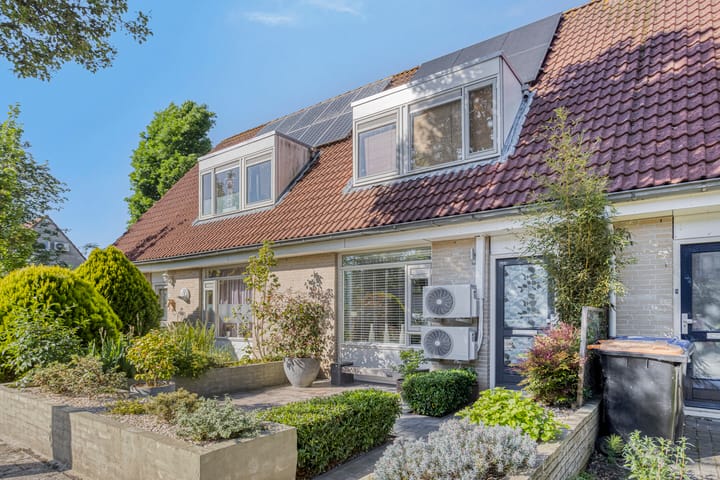 Foto 2 van Robertskruid 26