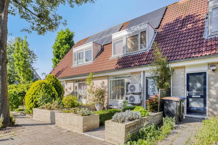 Foto 3 van Robertskruid 26