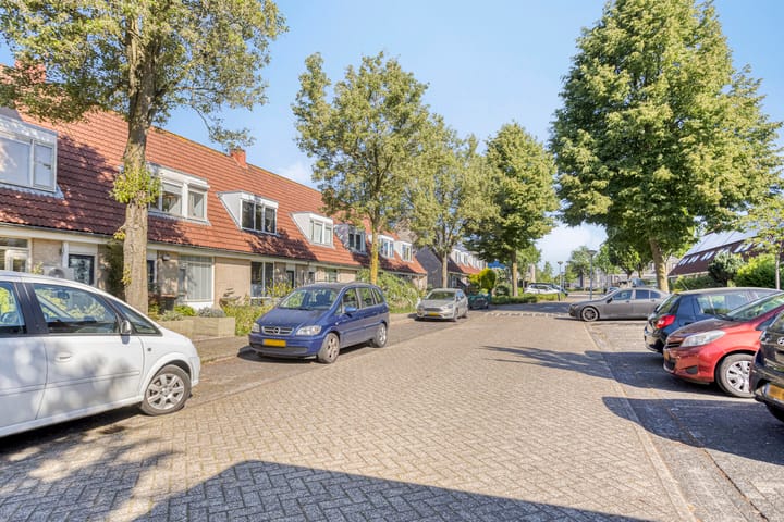 Foto 5 van Robertskruid 26