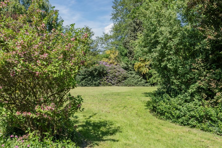 Photo 57 of Westersebos 1