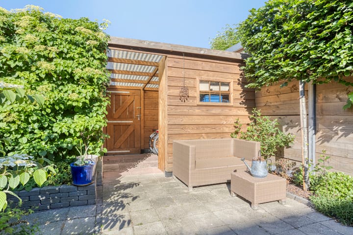 Foto 27 van Robertskruid 26