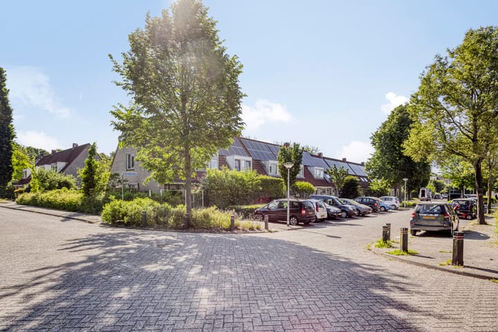 Foto 30 van Robertskruid 26