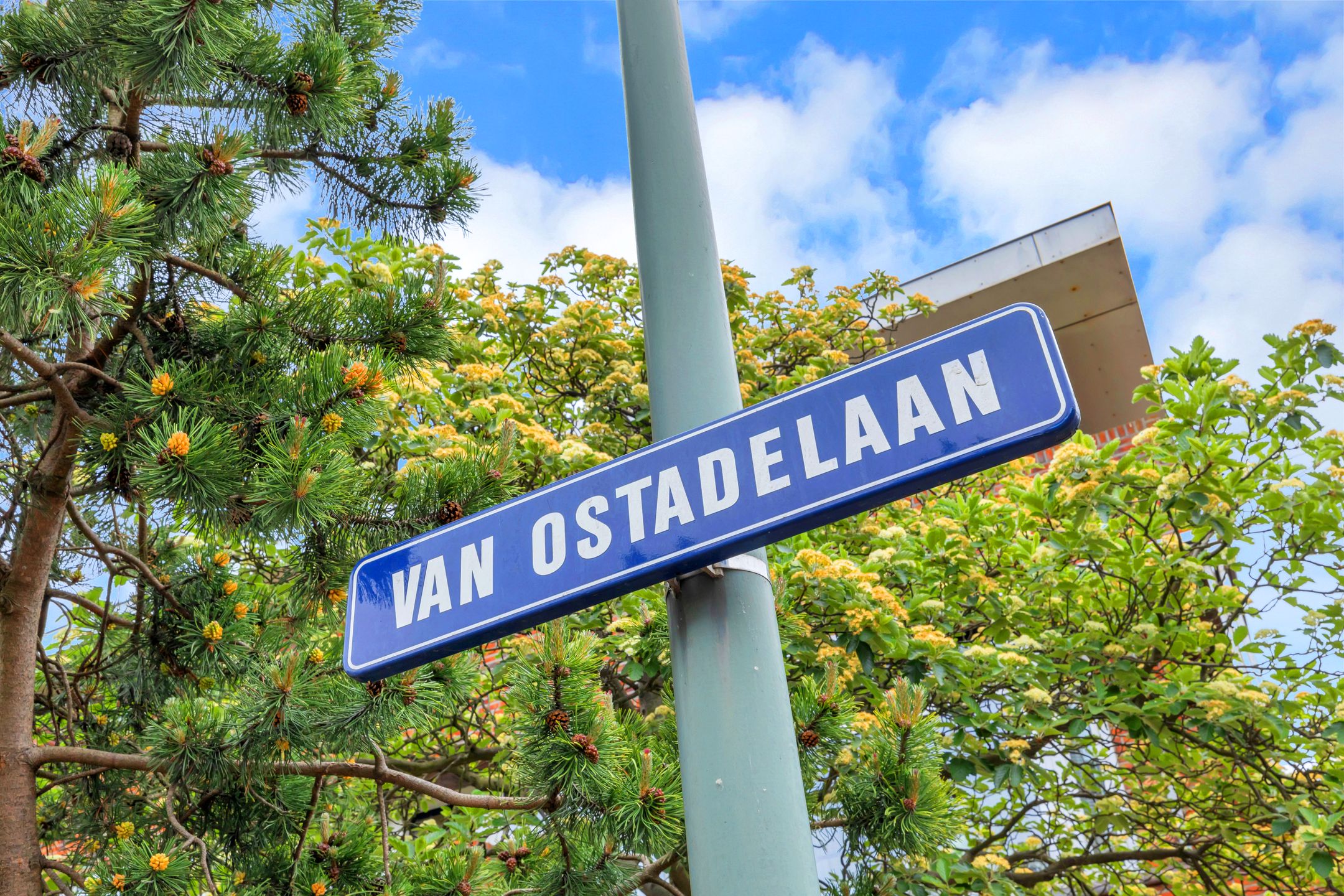 Foto 30 van Van Ostadelaan 20-B