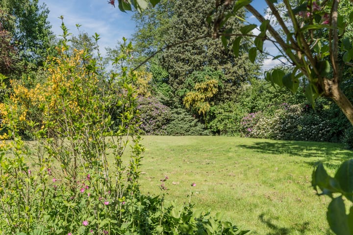 Photo 64 of Westersebos 1